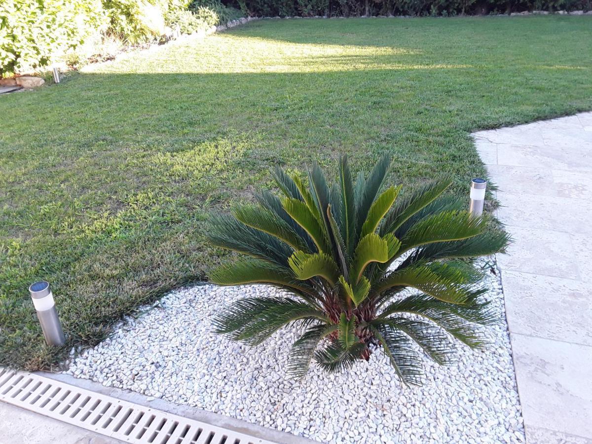 Yofanto Apartment Senas Luaran gambar